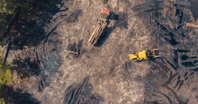 The Impact of Drones on Construction Projects