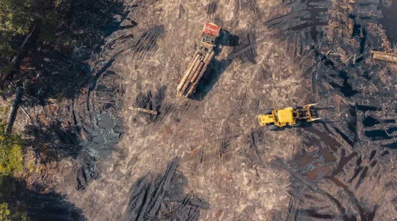 The Impact of Drones on Construction Projects