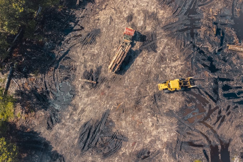 The Impact of Drones on Construction Projects