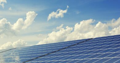 Innovative Insulation Solutions for Energy Efficiency