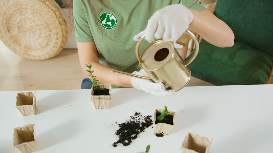 Why Sustainable Practices Matter for Bronx Homes