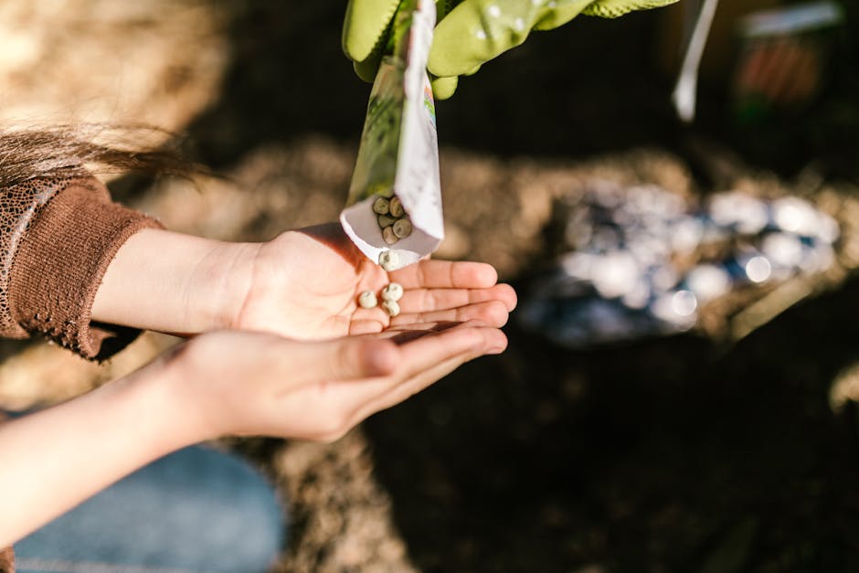 Why Sustainable Practices Matter for Bronx Homes