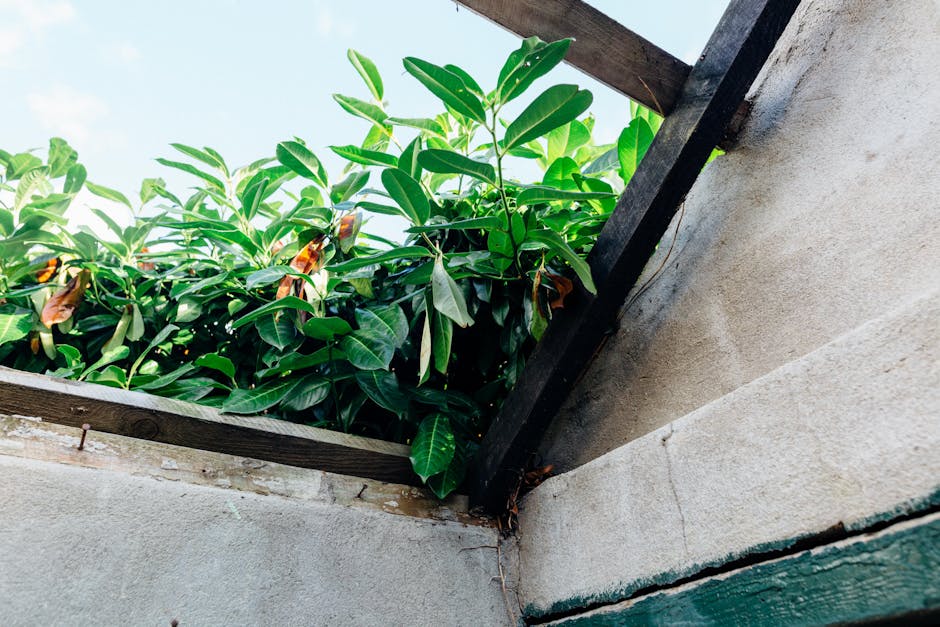 Green Roofs and Walls: A Growing Trend