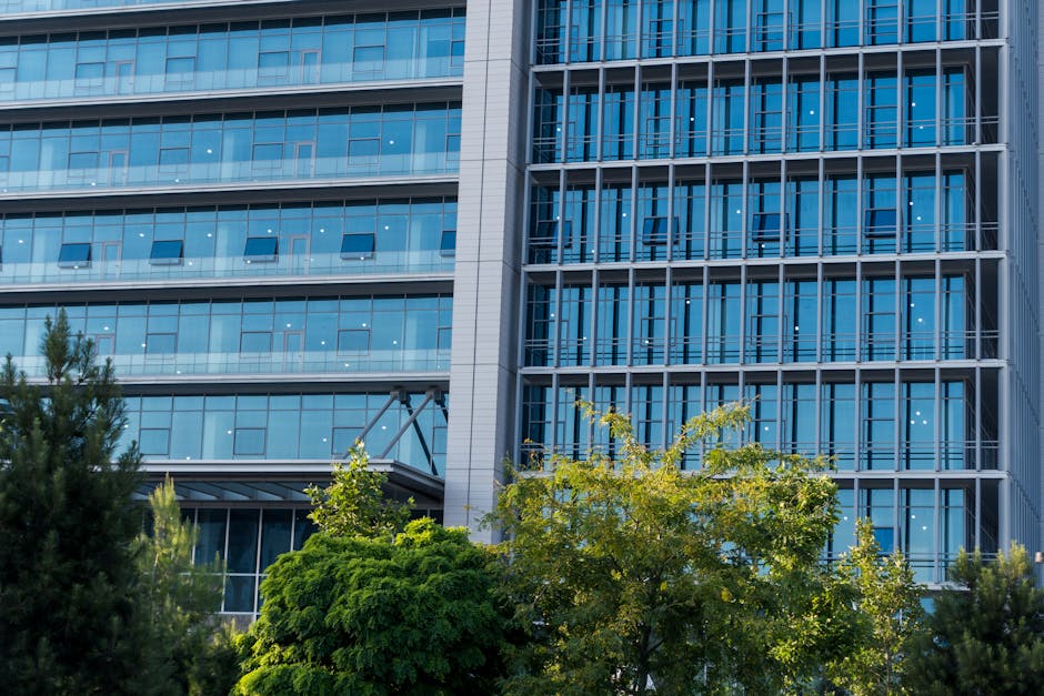 Energy-Efficient Building: What You Need to Know